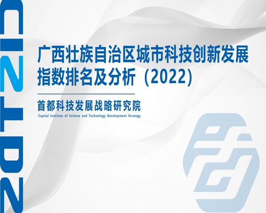 下载与美女日逼的视频【成果发布】广西壮族自治区城市科技创新发展指数排名及分析（2022）